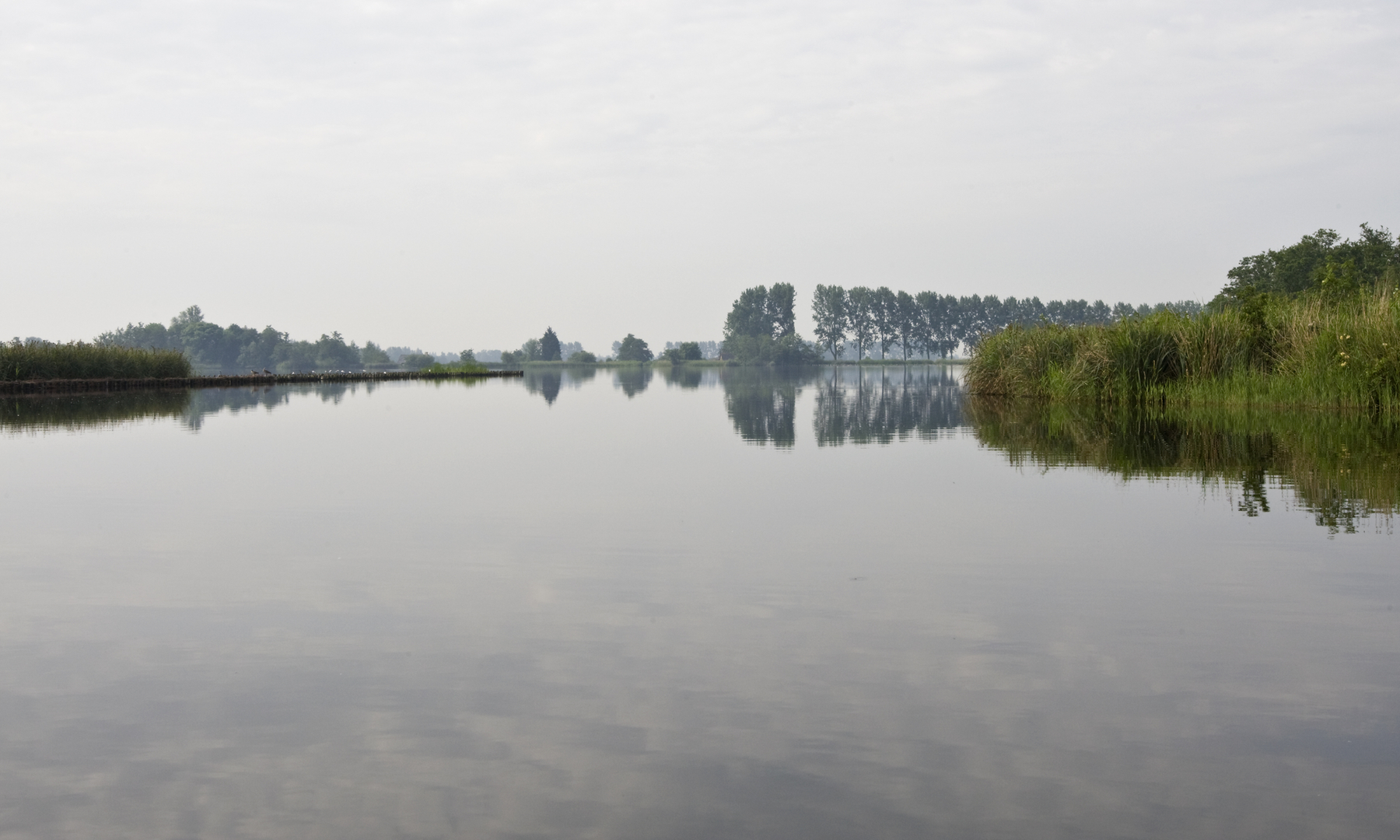 An image depicting the trail Noorderpolder and Groote Wije Loop and its surrounding area.