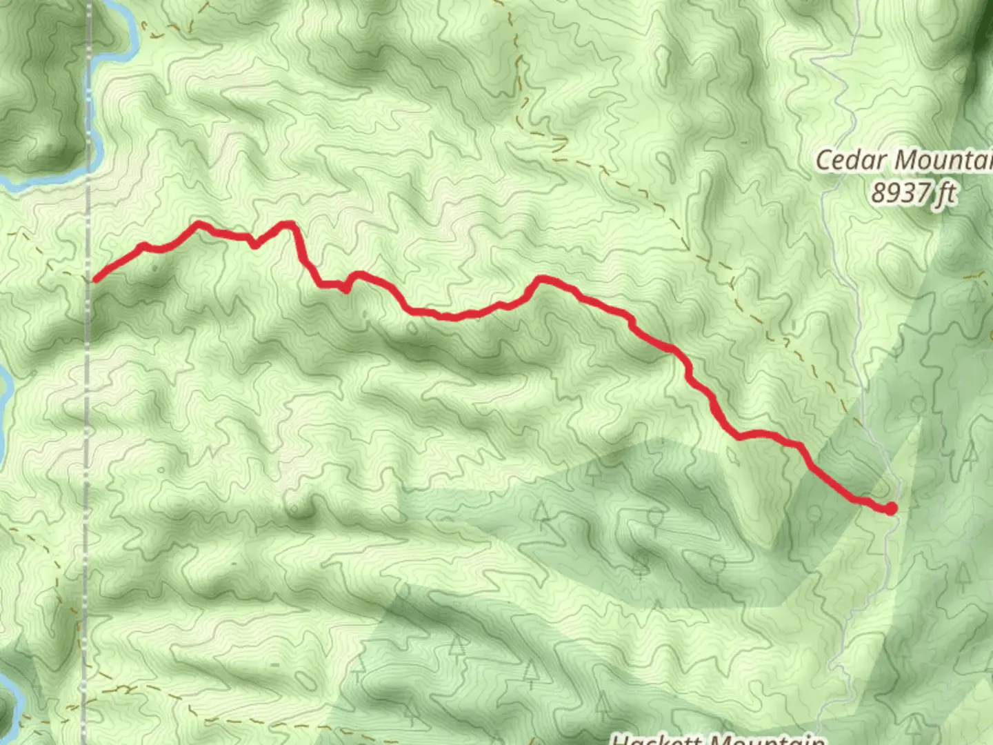 An image depicting the trail County Road 221 Longwater Out and Back and its surrounding area.