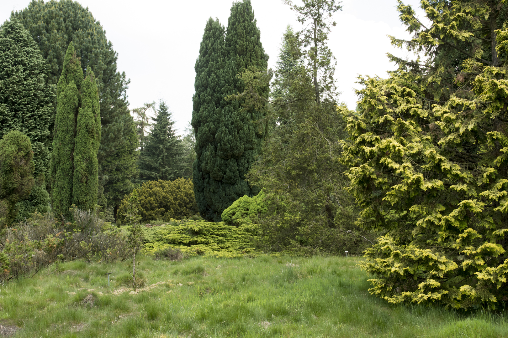 An image depicting the trail Terborgh, De Burgvallen and De Maarsch Loop and its surrounding area.
