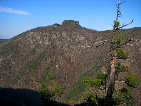 An image depicting the trail Table Rock Summit Trail and its surrounding area.