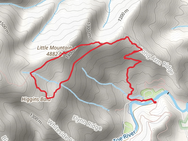 Little Mountain - Higgins Bald Loop via Mount Mitchell Trail