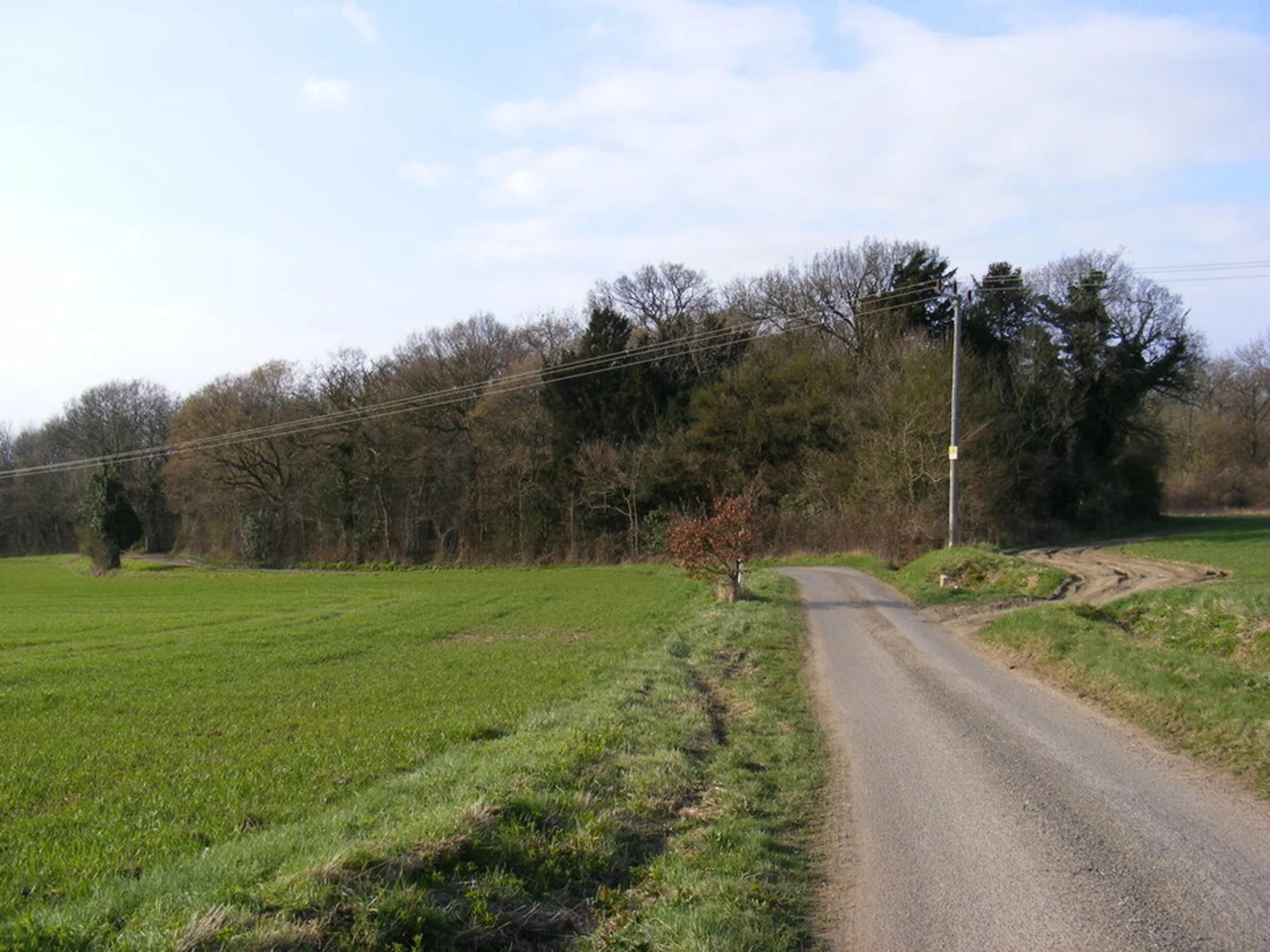 An image depicting the trail Mirehouse to St Bega's Church Walk - Bassenthwaite Lake and its surrounding area.