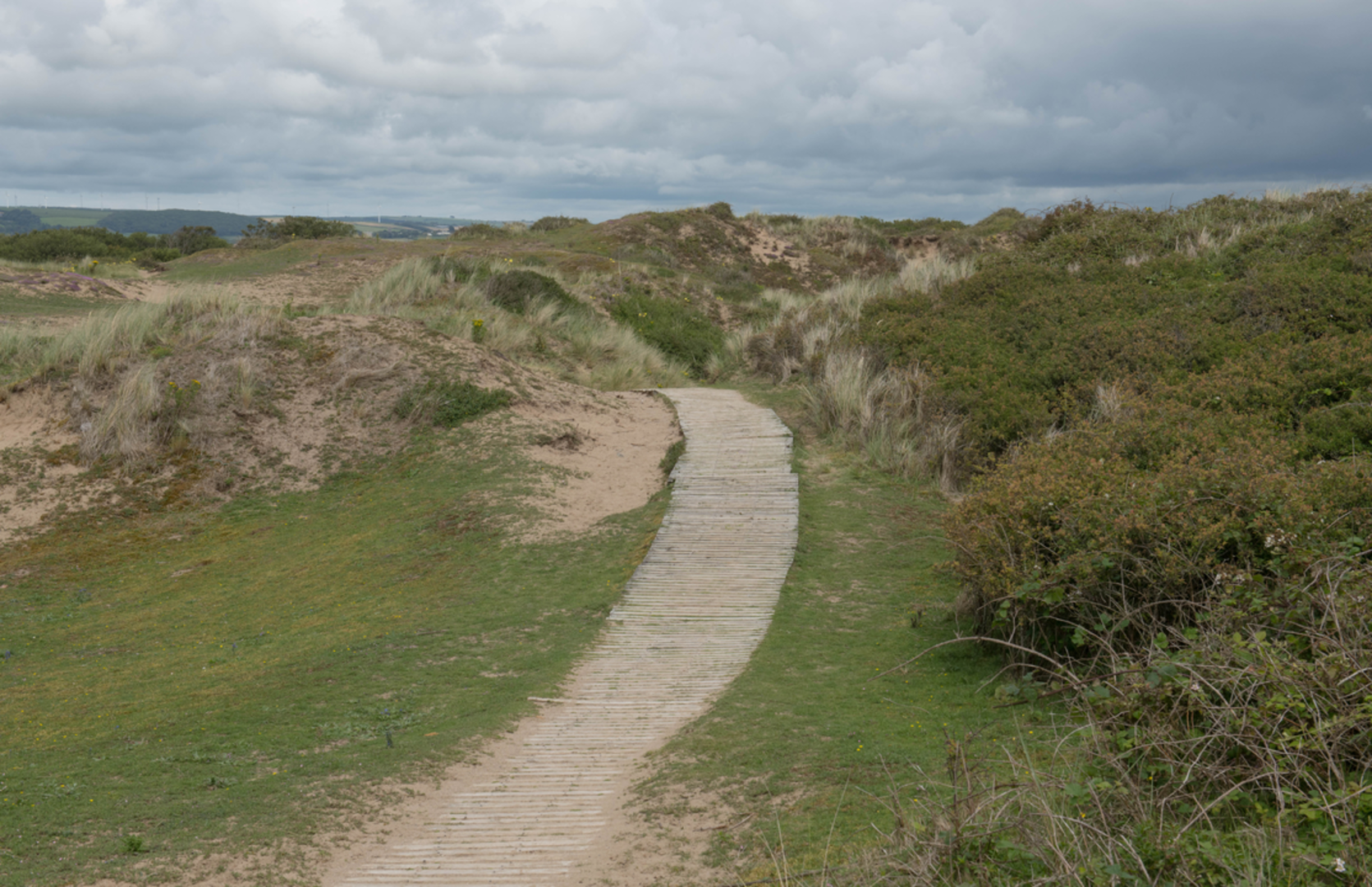 An image depicting the trail Braunton Burrows Walk and its surrounding area.