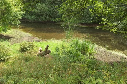 An image depicting the trail Badger Dingle and its surrounding area.