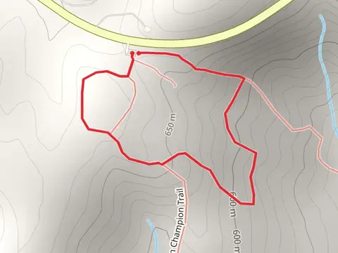 Burnt Mountain Champion Loop Trail