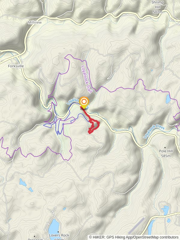 Canyon Vista Trail Loop