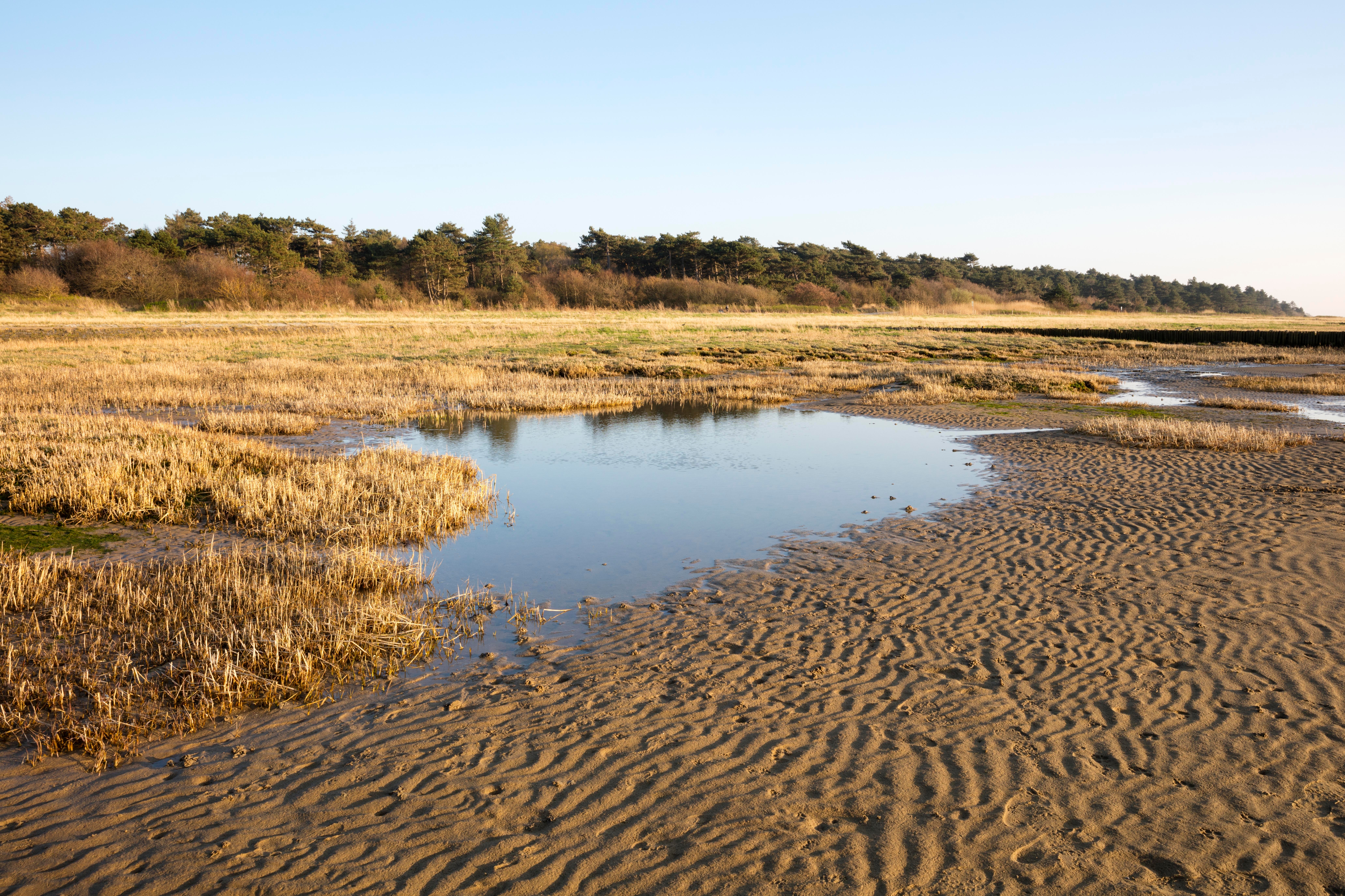 An image depicting the trail Lower Saxon Wadden Sea National Park and its surrounding area.