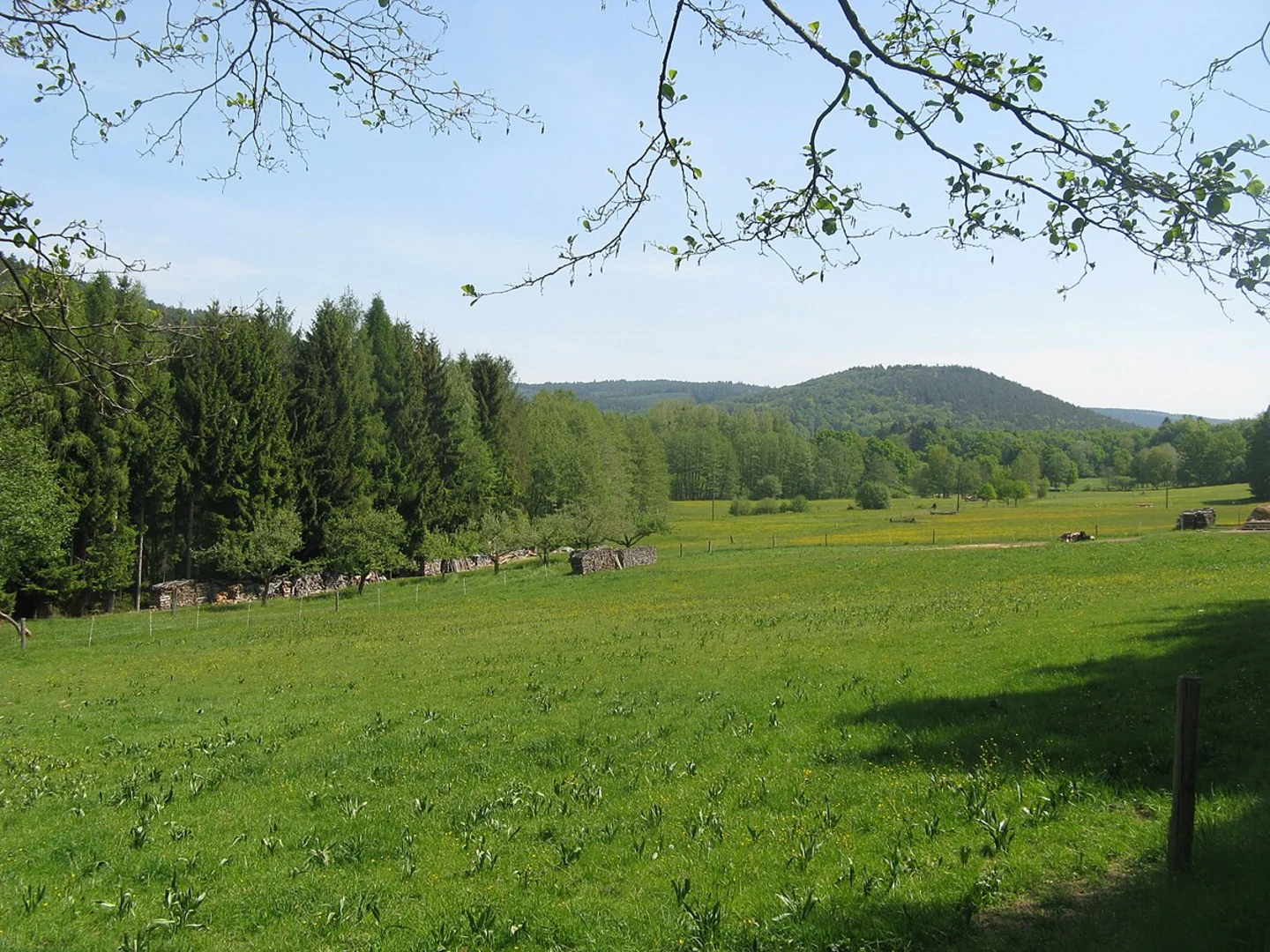 An image depicting the trail Taunusklub Route 22 and its surrounding area.