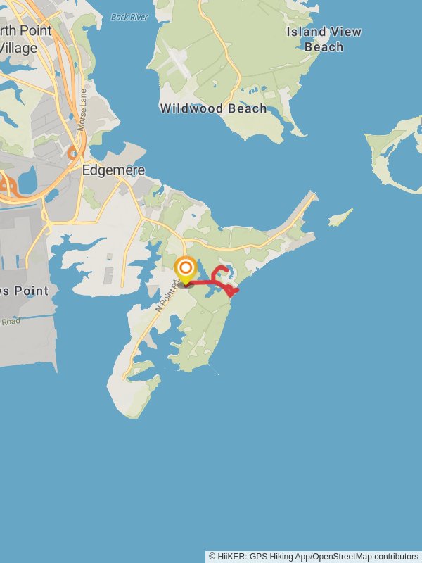 Observation - Holly - Black Marsh Trail