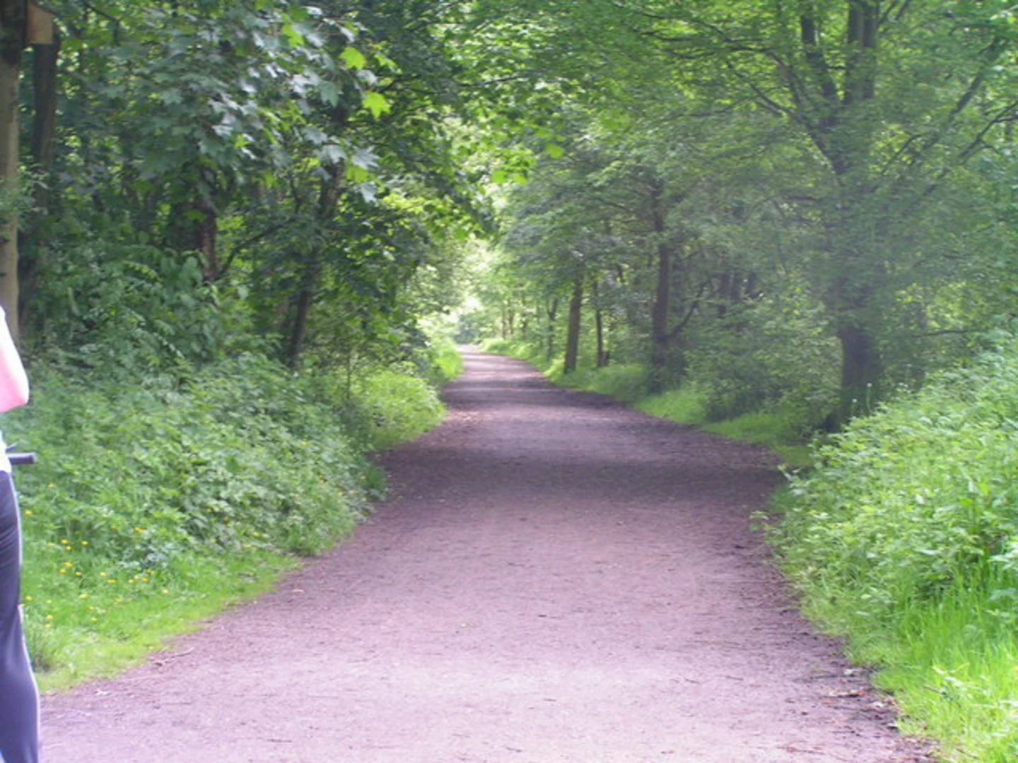 An image depicting the trail Sett Valley Trail and its surrounding area.