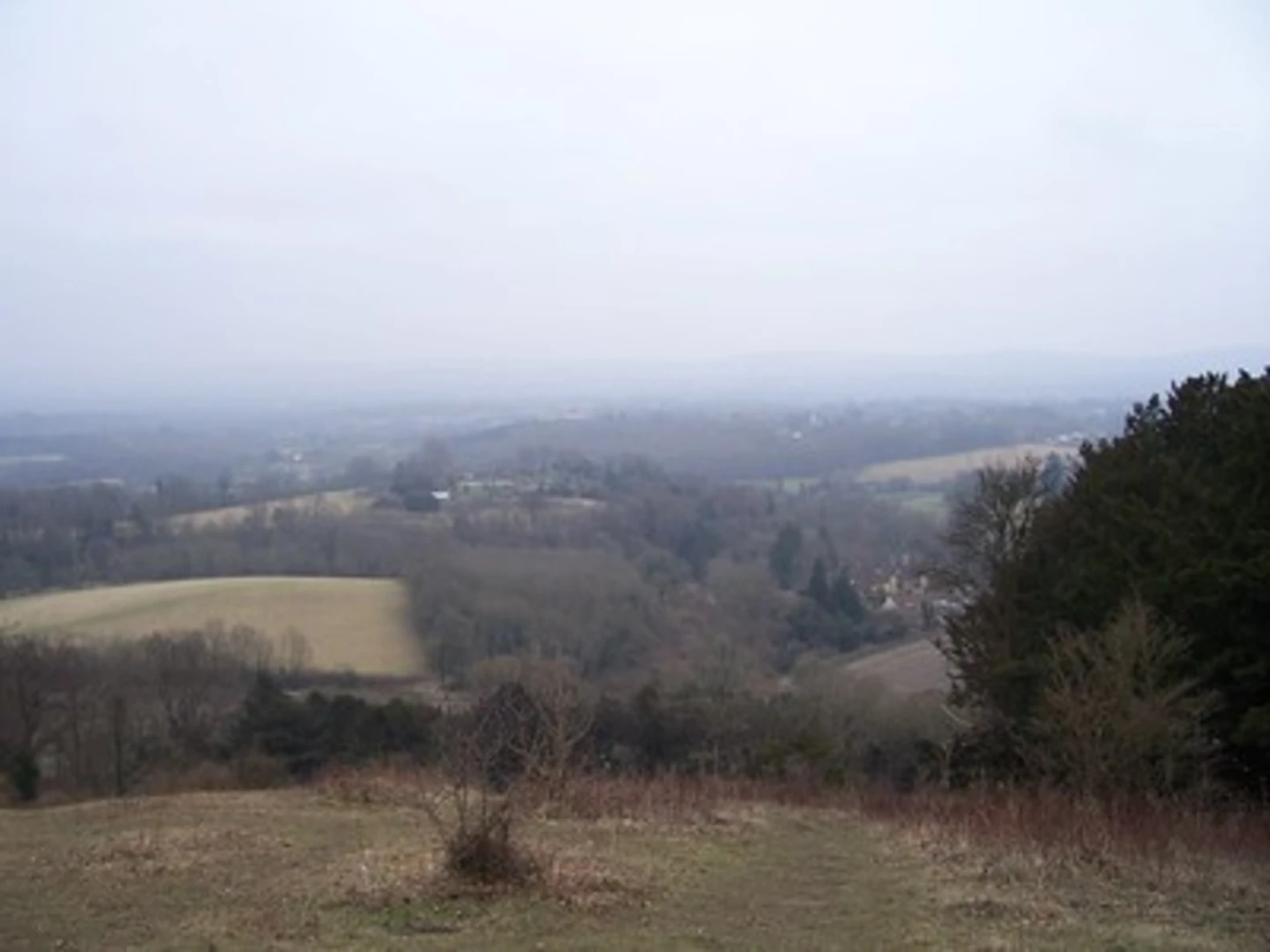 An image depicting the trail Ashford Farm Loop and its surrounding area.