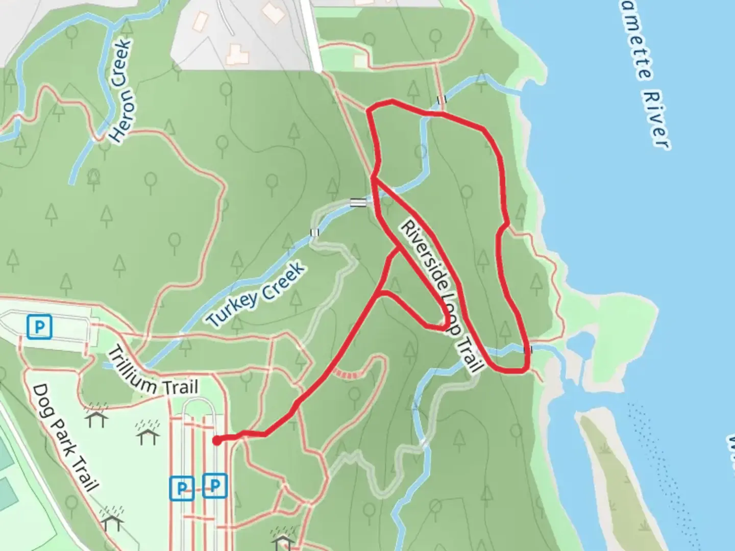 An image depicting the trail Willamette Riverside Loop Trail and its surrounding area.