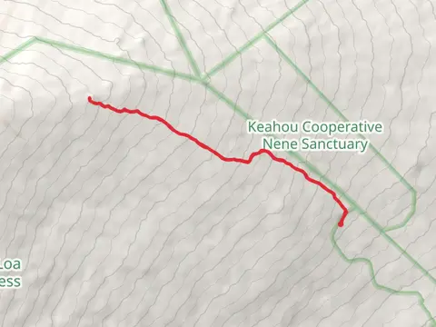 Puʻuʻulaʻula - Red Hill via Mauna Loa Trail