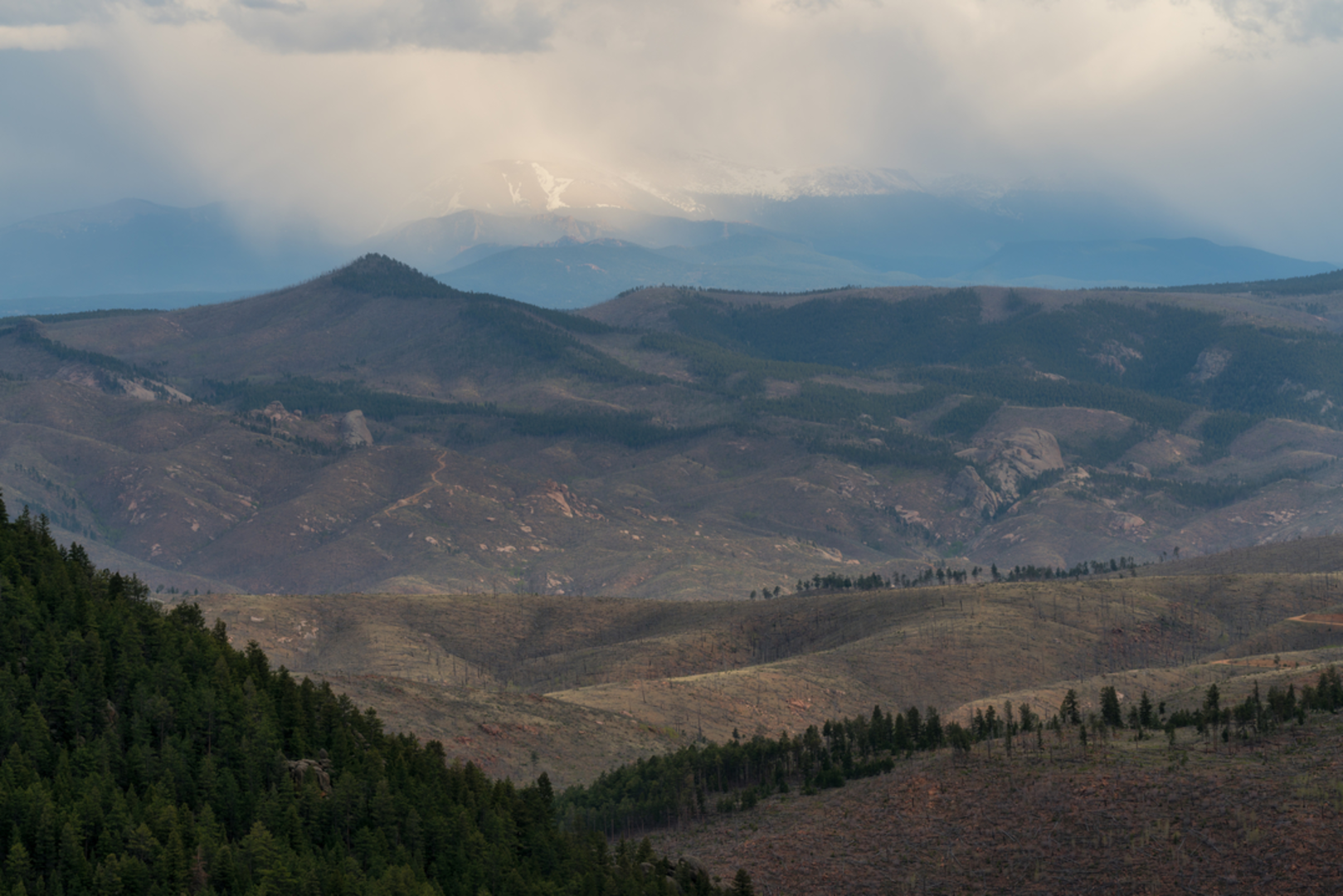 An image depicting the trail Shingle Mill Trail and its surrounding area.