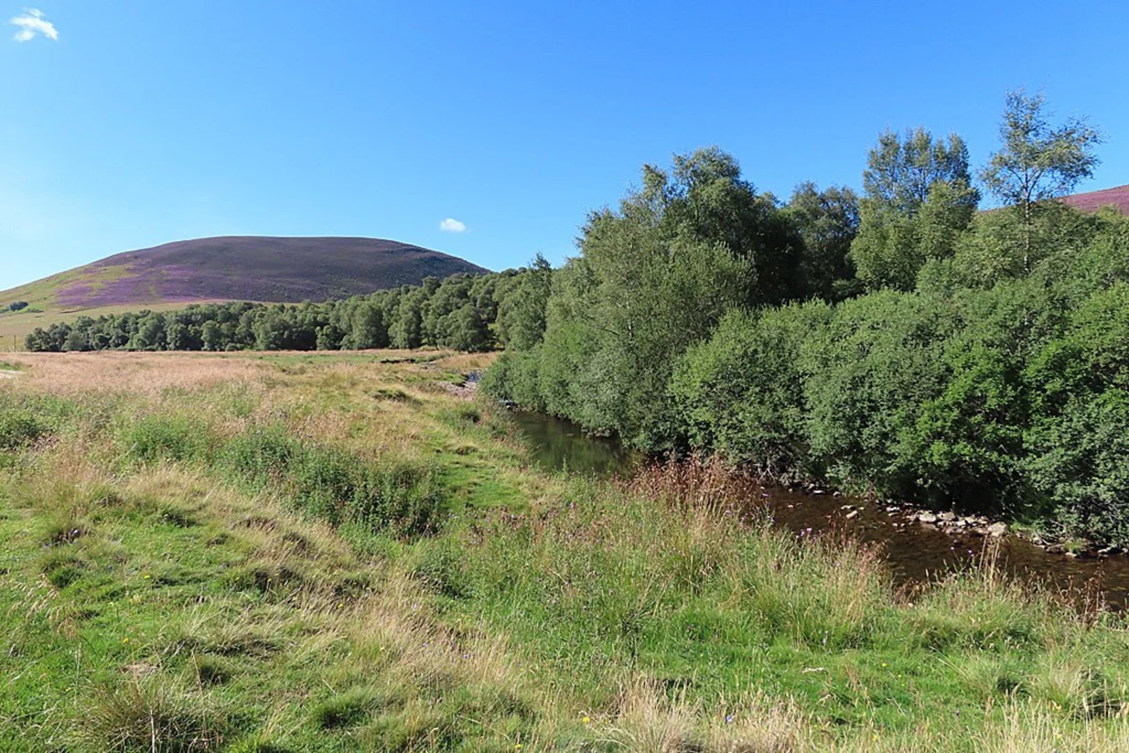 An image depicting the trail Cook's Carn via Livet Path and its surrounding area.