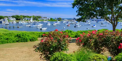 An image depicting the trail Essex Way and its surrounding area.