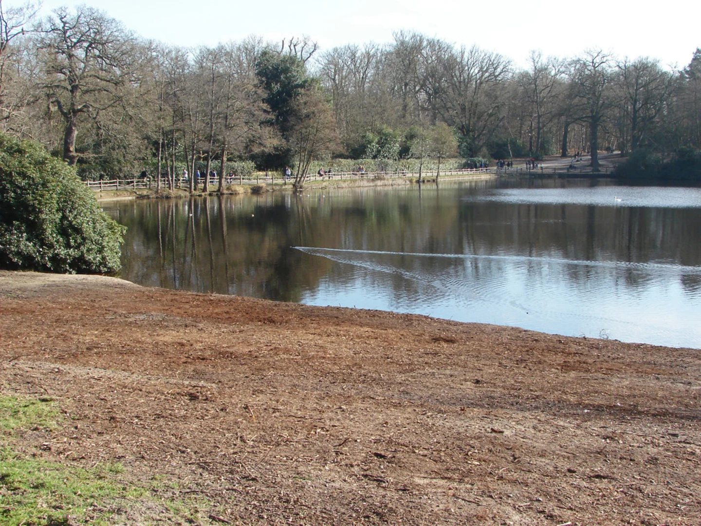 An image depicting the trail Botany Bay Point and Breakheart Hill Loop and its surrounding area.