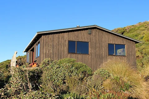 Mangorei Track to Henry Peak