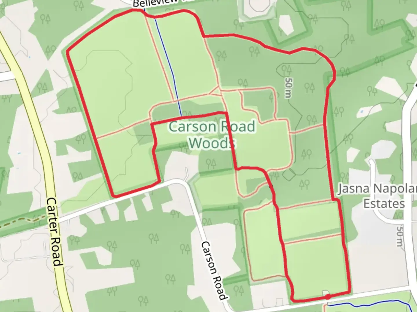 An image depicting the trail Carson Road Woods - Red, Yellow and Green Loop Trail and its surrounding area.