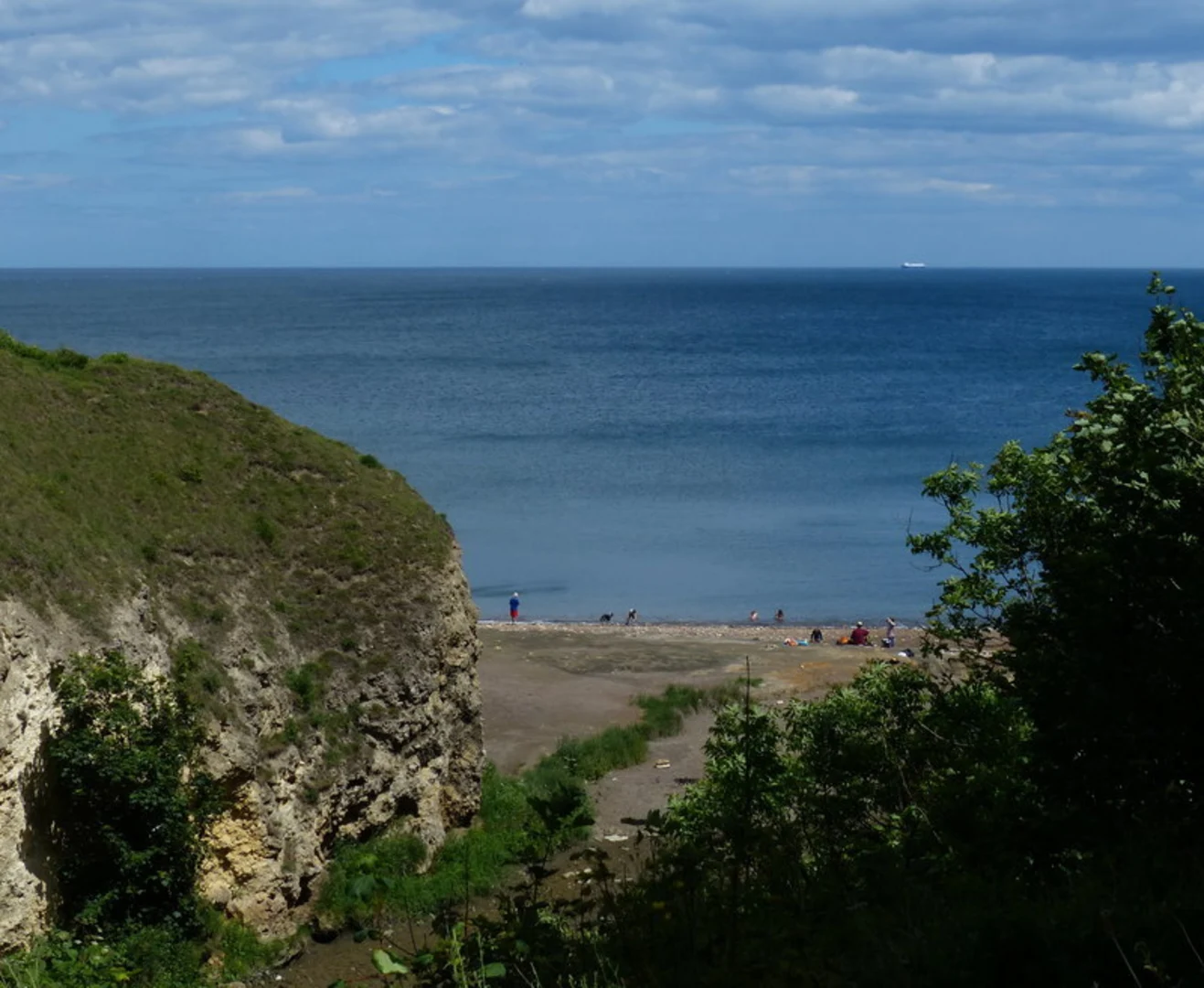 An image depicting the trail Hawthorn Dene Walk and its surrounding area.