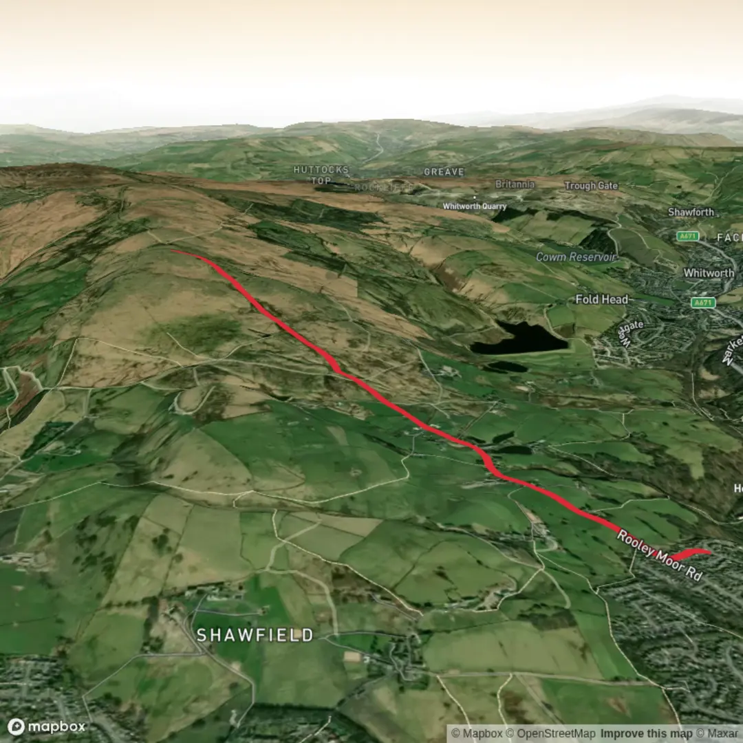 An image depicting the trail Top of Pike Out and Back and its surrounding area.