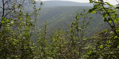 An image depicting the trail Lost Turkey Trail and its surrounding area.