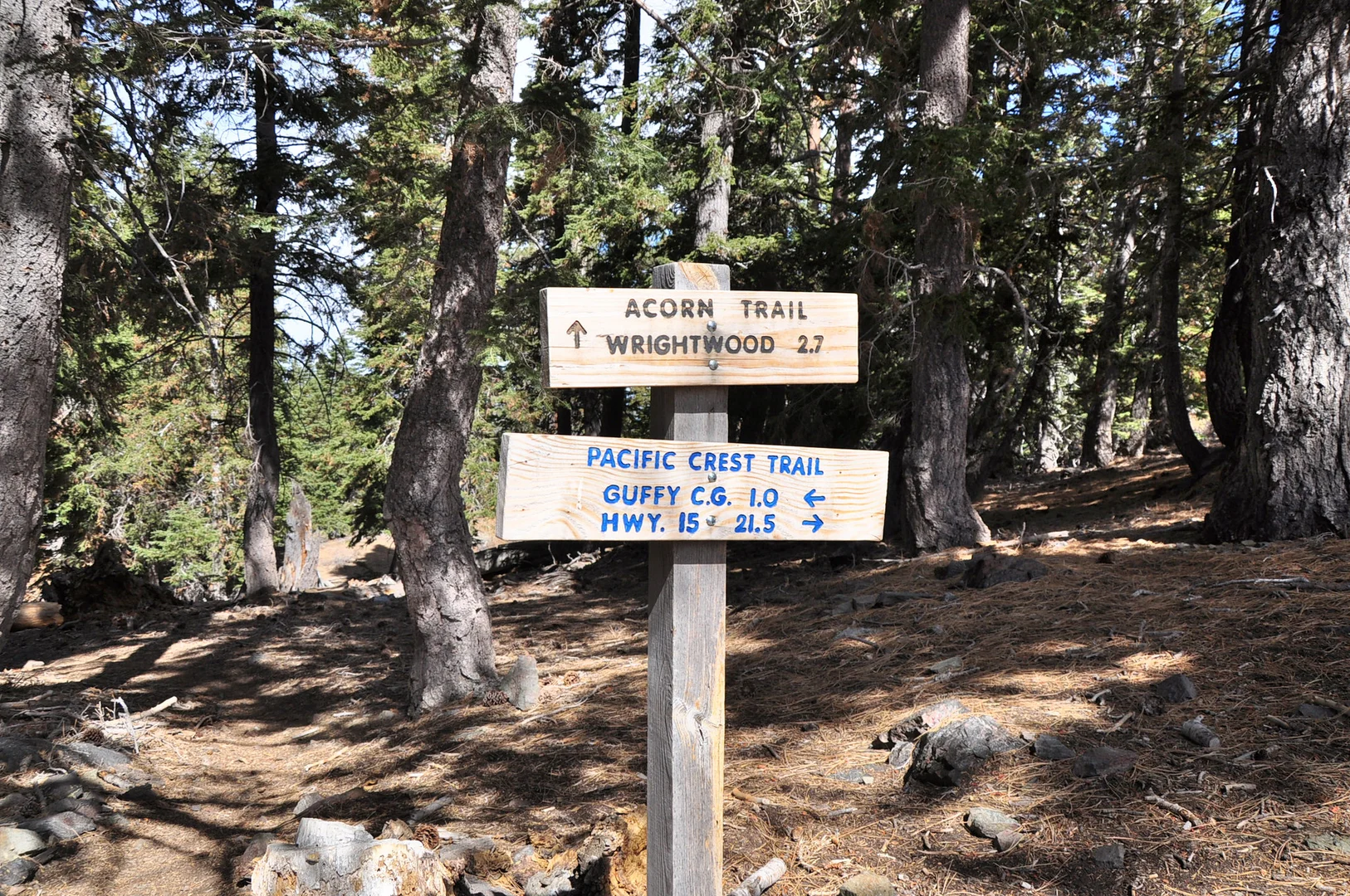 An image depicting the trail Acorn Trail and its surrounding area.