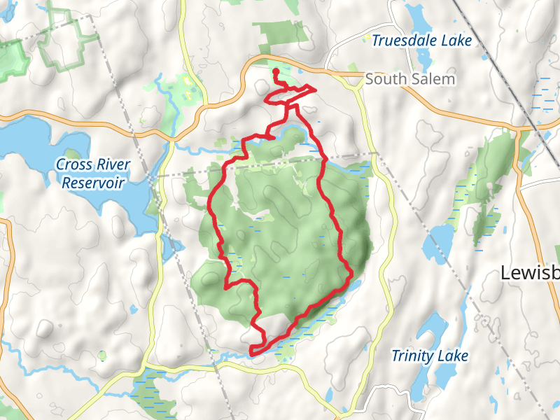 Pine Forest and Rock Trail Loop - Lewisboro Town Park