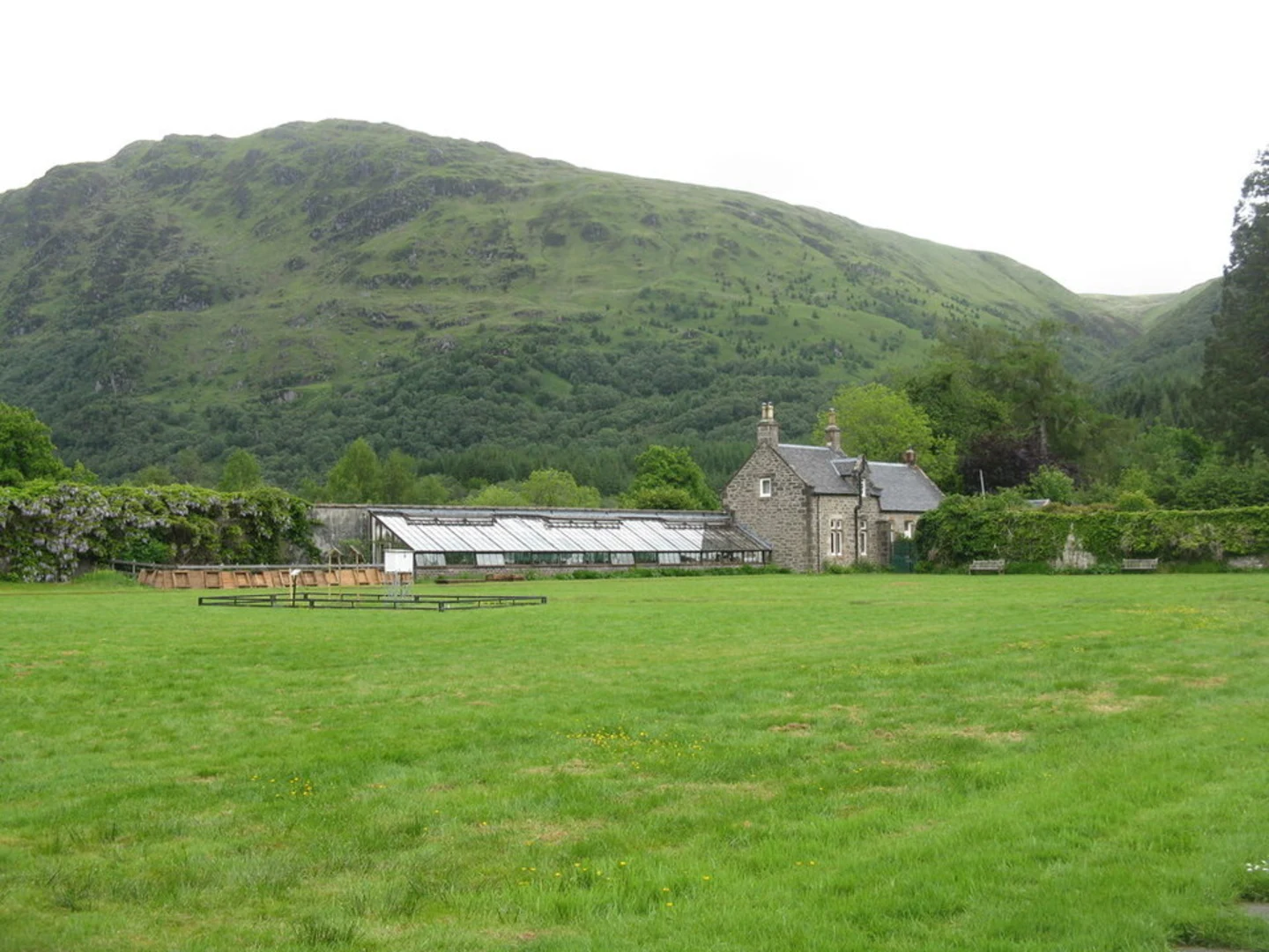 An image depicting the trail Big Tree Loop - Benmore and its surrounding area.