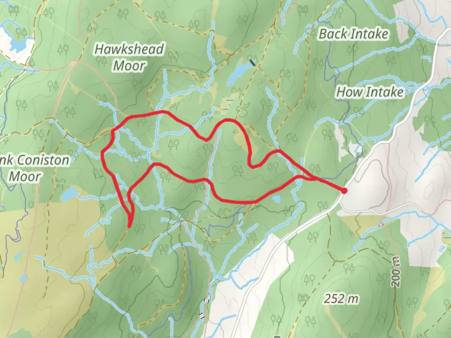 An image depicting the trail Moor Top and China Plantation Loop and its surrounding area.