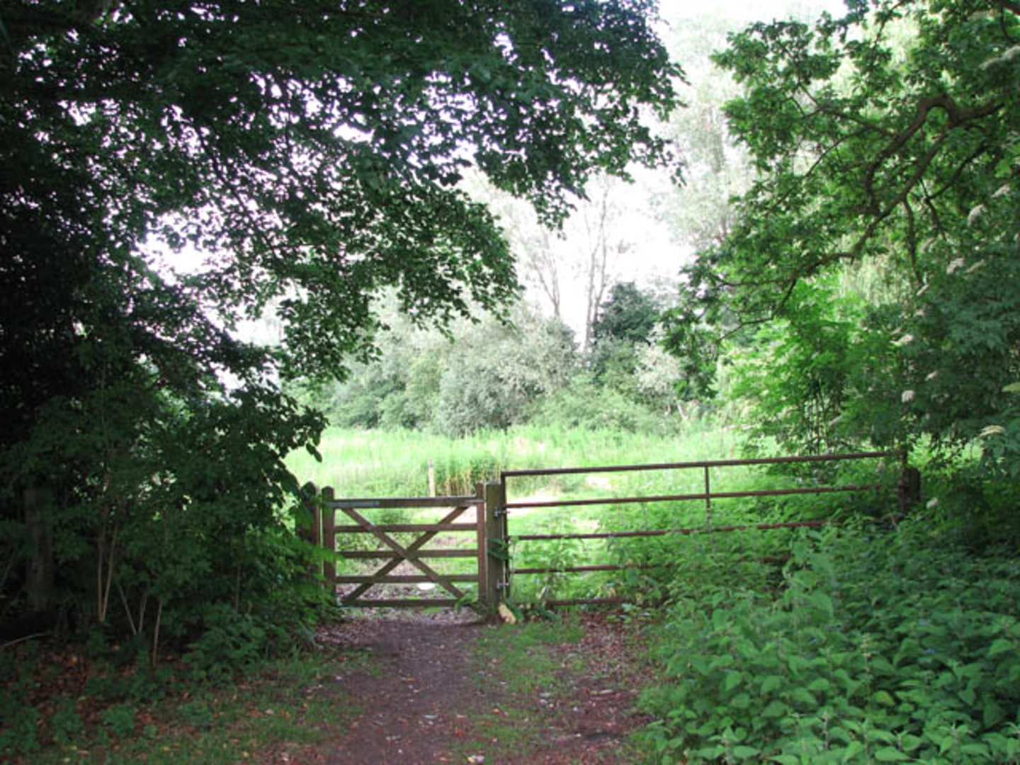 An image depicting the trail River Yare and Claxton from Rockland Staithe and its surrounding area.