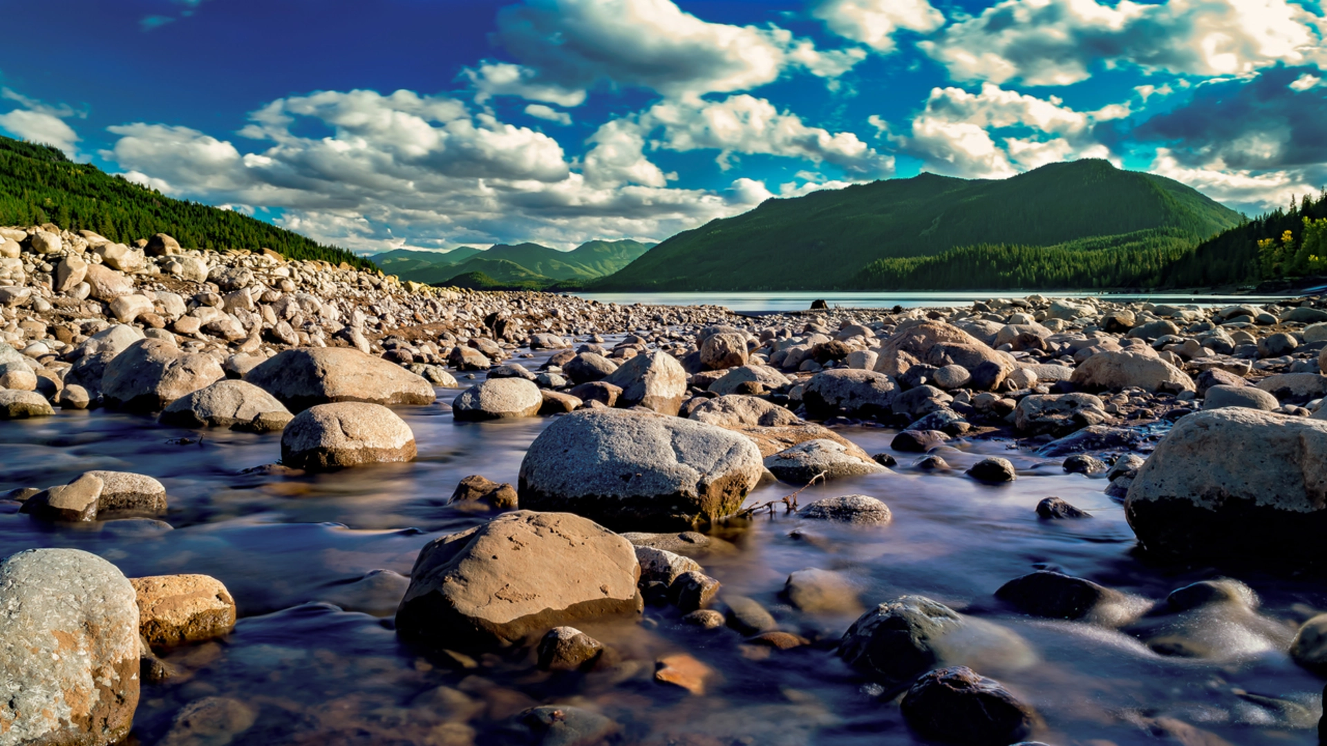 An image depicting the trail Thorp Lake and Thorp Lookout via Thorp Creek Trail and its surrounding area.