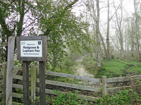 An image depicting the trail Redgrave and Lopham Fen Loop and its surrounding area.