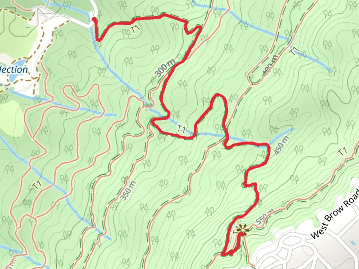 An image depicting the trail Kiddie, Skyuka and Gum Spring Trail and its surrounding area.