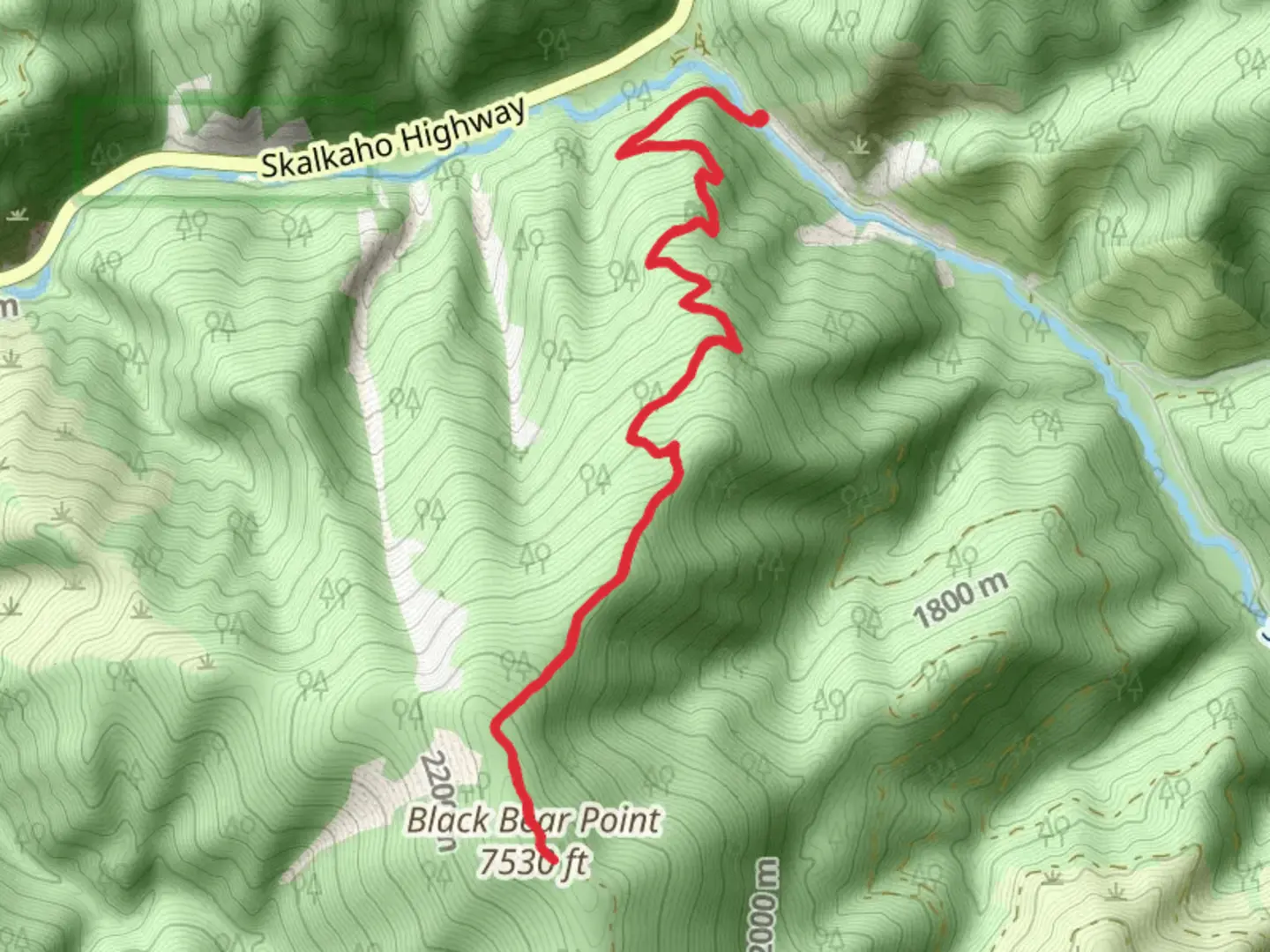 An image depicting the trail Black Bear Point Trail and its surrounding area.