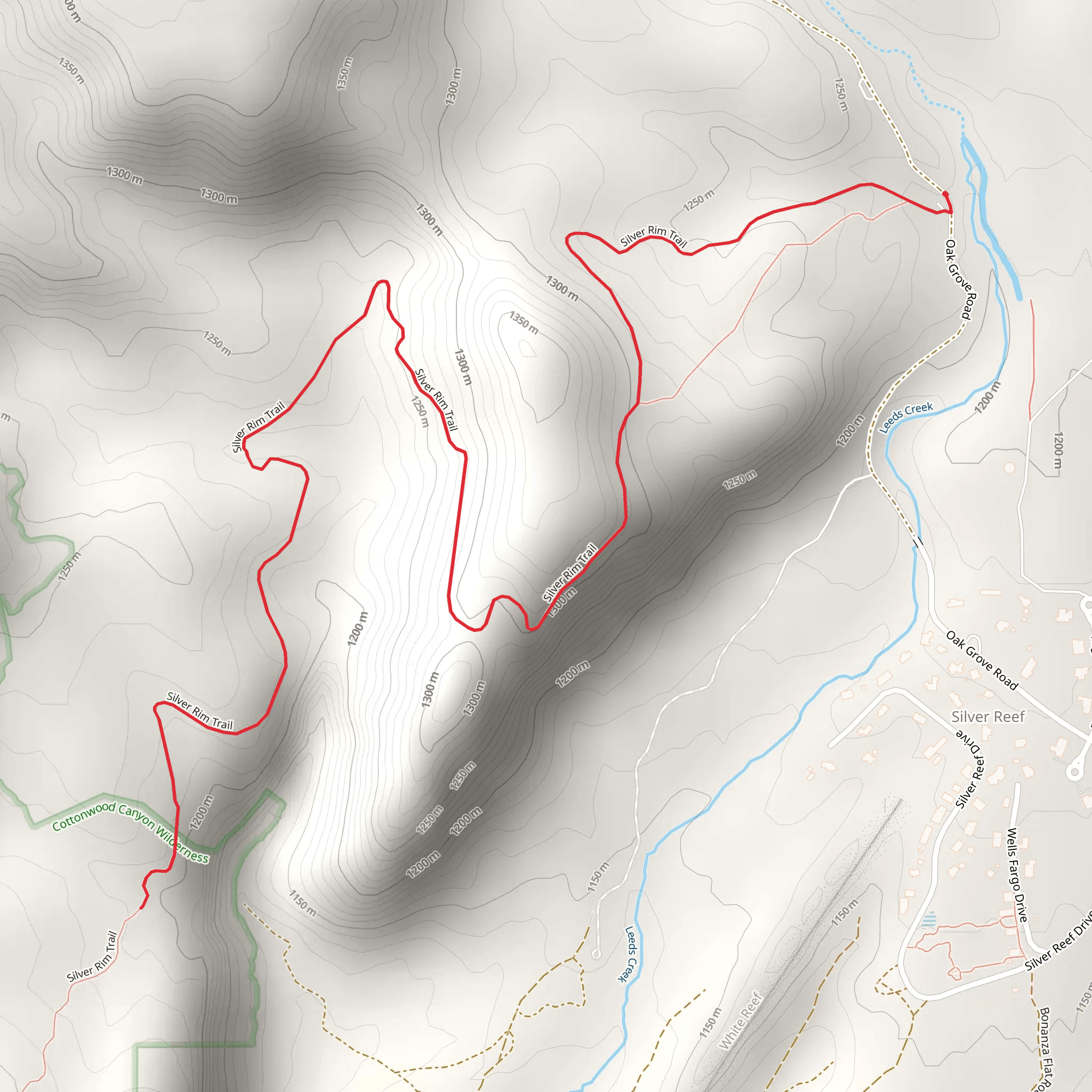 Silver Rim Trail Out and Back mobile static map
