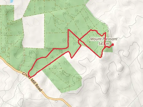 Mount Pleasant Summit Walk