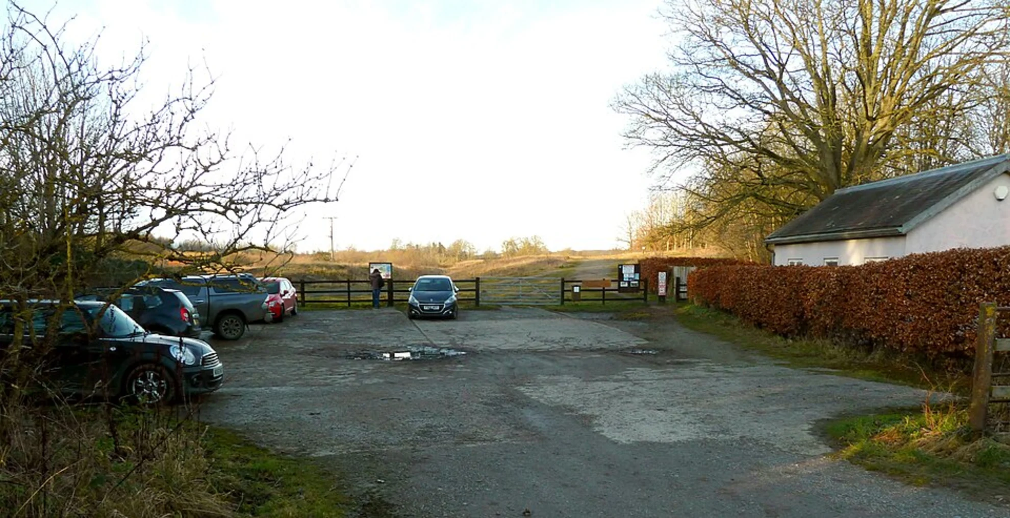 An image depicting the trail Marfield Wetlands Loop and its surrounding area.