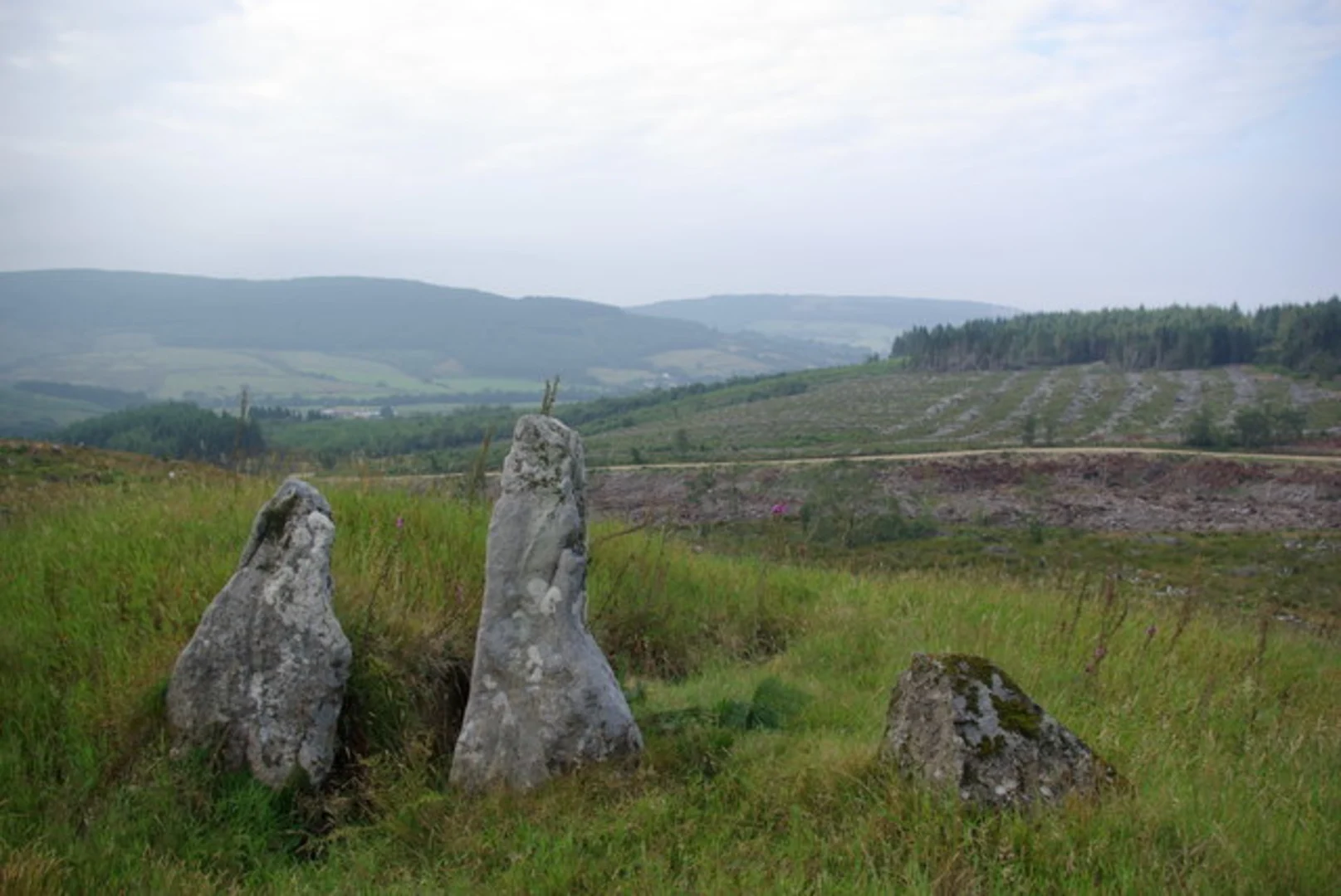 An image depicting the trail Lagaville Loop Trail and its surrounding area.