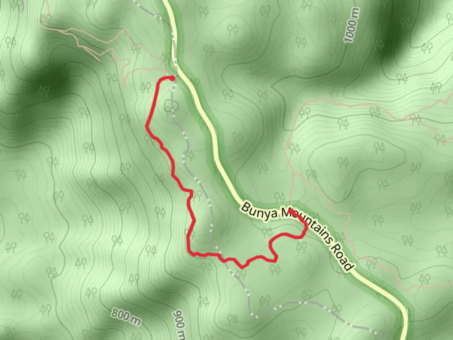 An image depicting the trail Paradise to Westcott Track and its surrounding area.