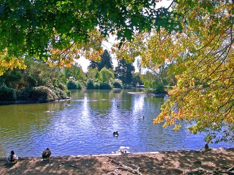 Masterton Riverbank Walkway
