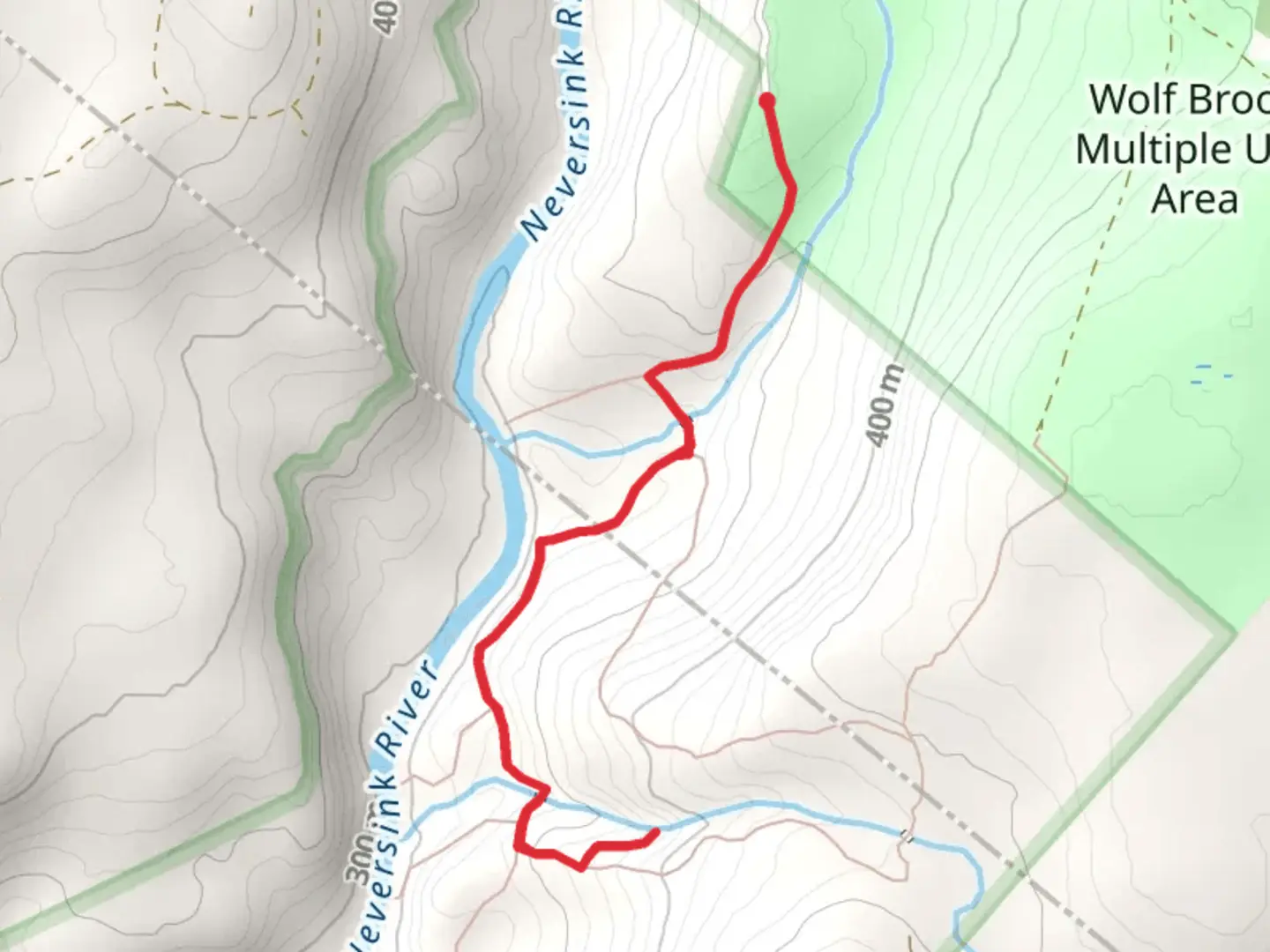 An image depicting the trail Mullet Brook Trail and its surrounding area.
