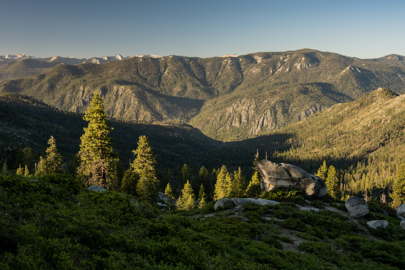An image depicting the trail Frypan Meadow Campsite via Lewis Creek Trail and its surrounding area.