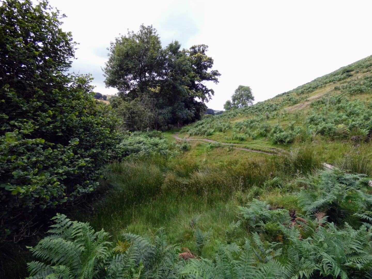 An image depicting the trail Betchcott Hill, Shooting Box and Pole Bank Loop and its surrounding area.
