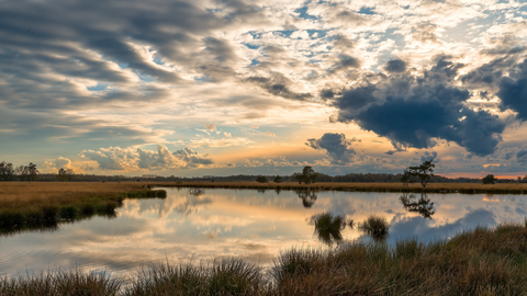 Haaksbergerveen, Buurserveen and Zuiderzendvelderveld Loop