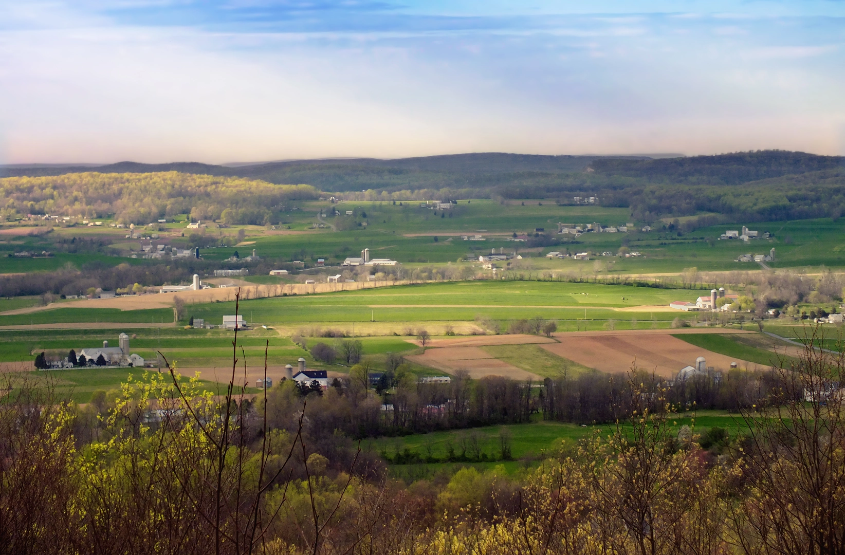 An image depicting the trail Money Rocks County Park Loop and its surrounding area.