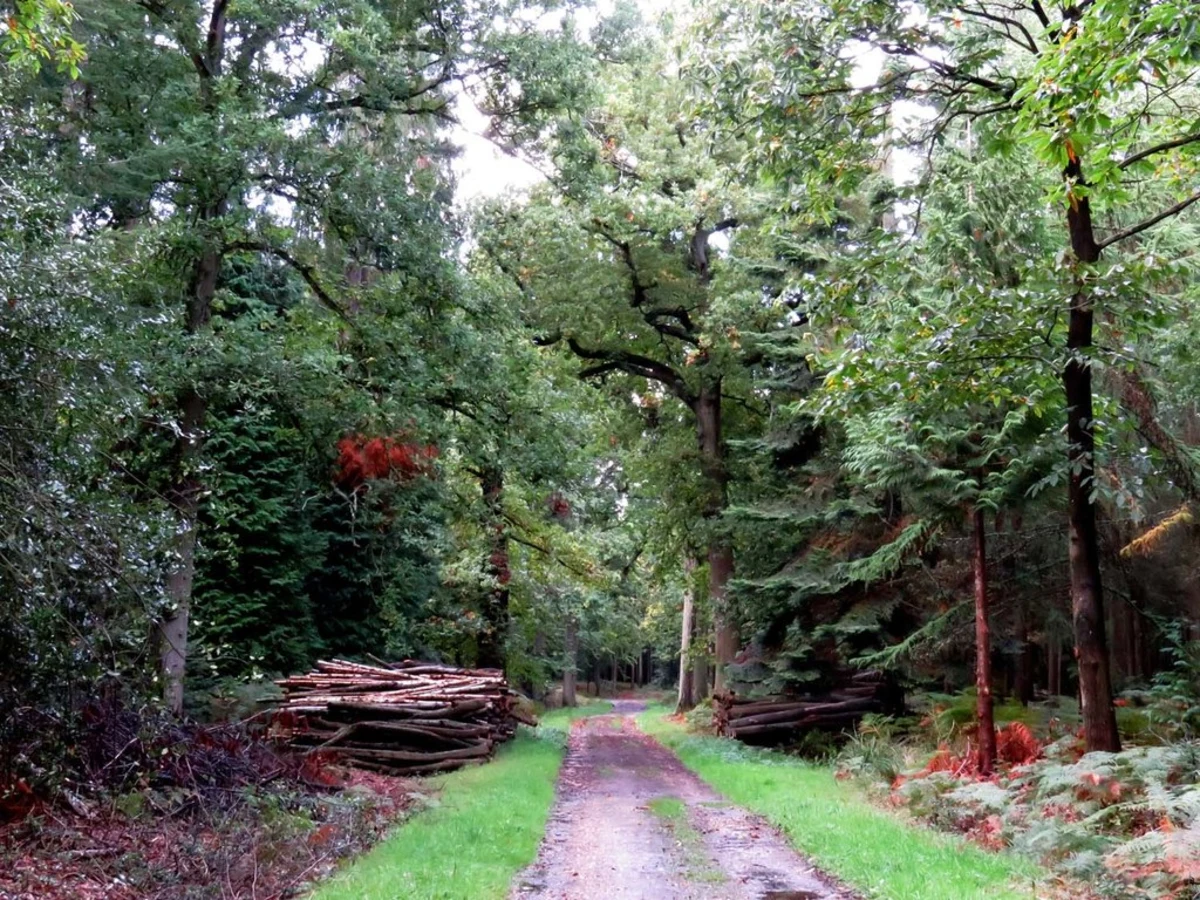 Bagley Wood Loop