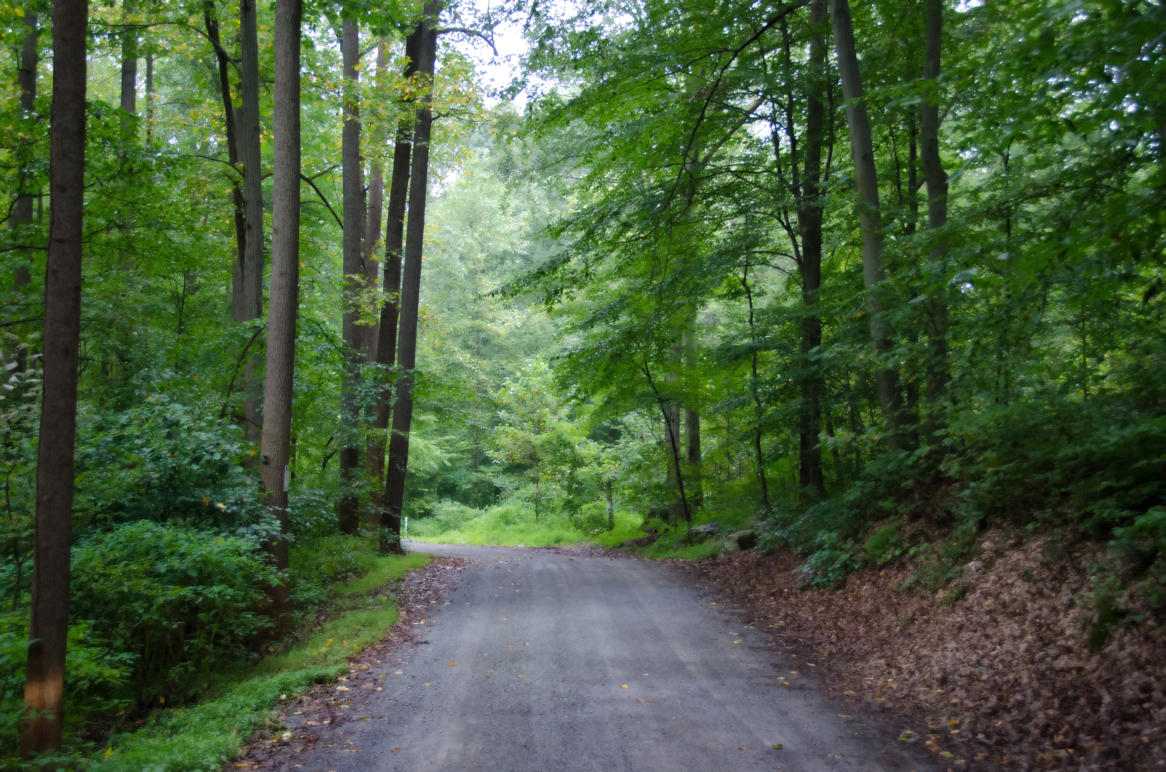 An image depicting the trail Tri-State Trail - Mason-Dixon Trail Loop and its surrounding area.