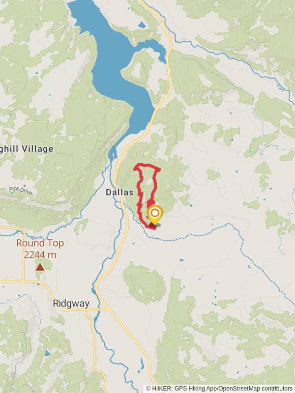 Rattus Maximus and Big Cheese Loop