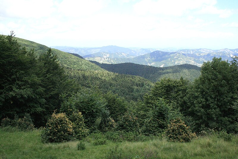 An image depicting the trail Foreste Casentinesi, Monte Falterona, Campigna National Park and its surrounding area.